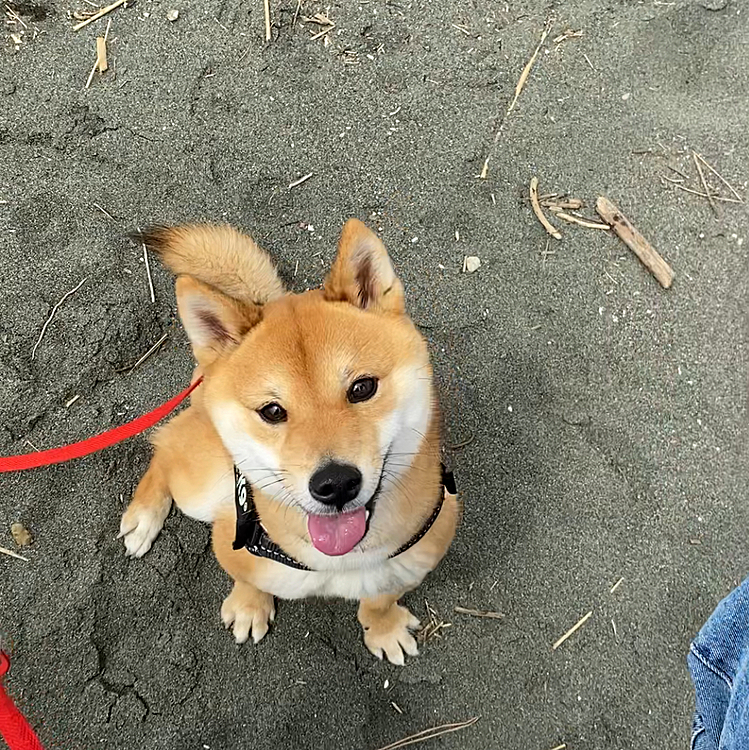 ２時間近くの海散歩となりました😄