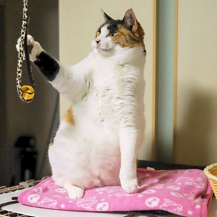 右パンチ。