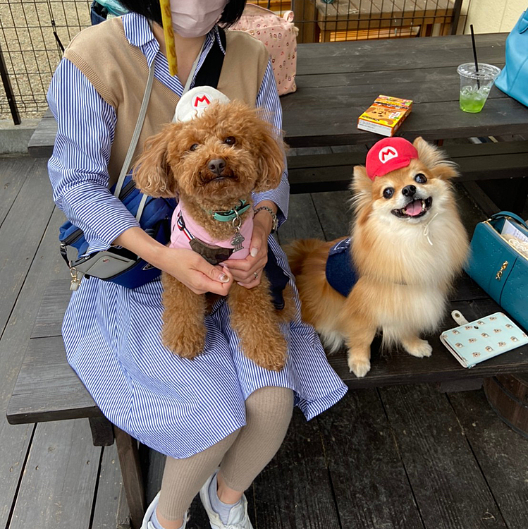 ハッピーくんと並んで😊
お気に入りの写真です🥰