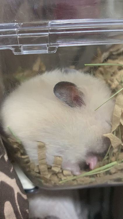 そして…寝る💤🛌