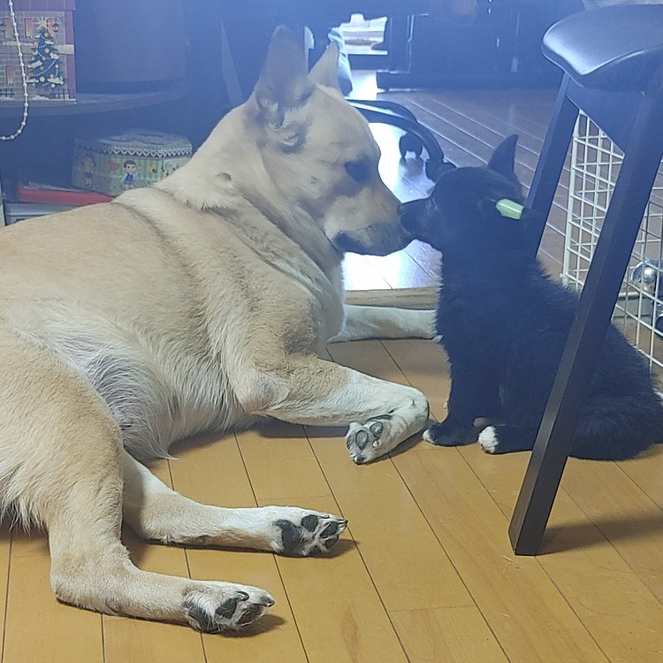 仲良くなってきた♥️