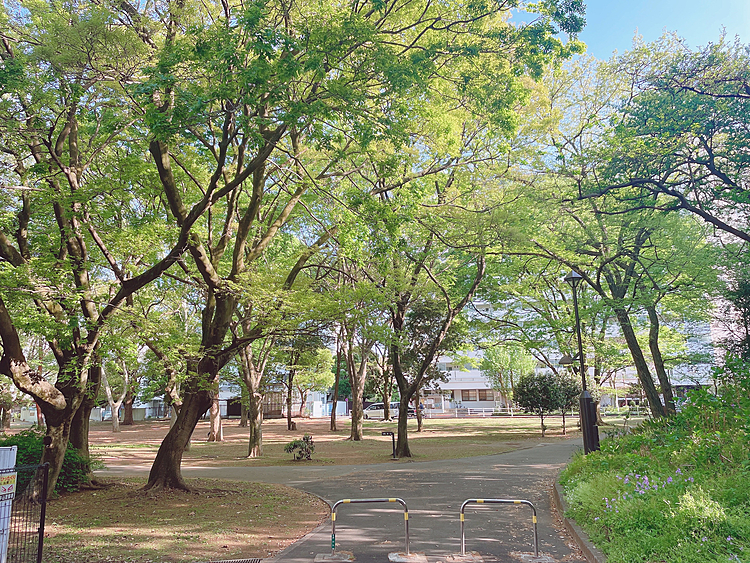 
都会のオアシス🌳

癒されます😊

とらくんもシティボーイコースより
森林コースの方が楽しそうです🐯⭐


大きいお友達も、小さなお友達も
たくさん会えました🐶

満足満足♪

