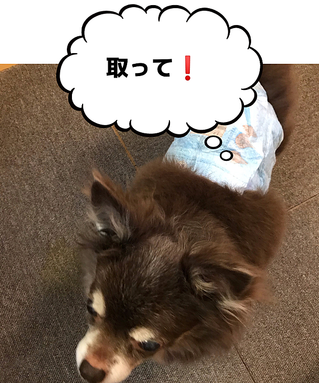 2日目!
取って欲しくて私に付きまとっていました😅