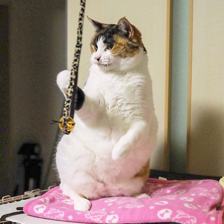 右パンチ。