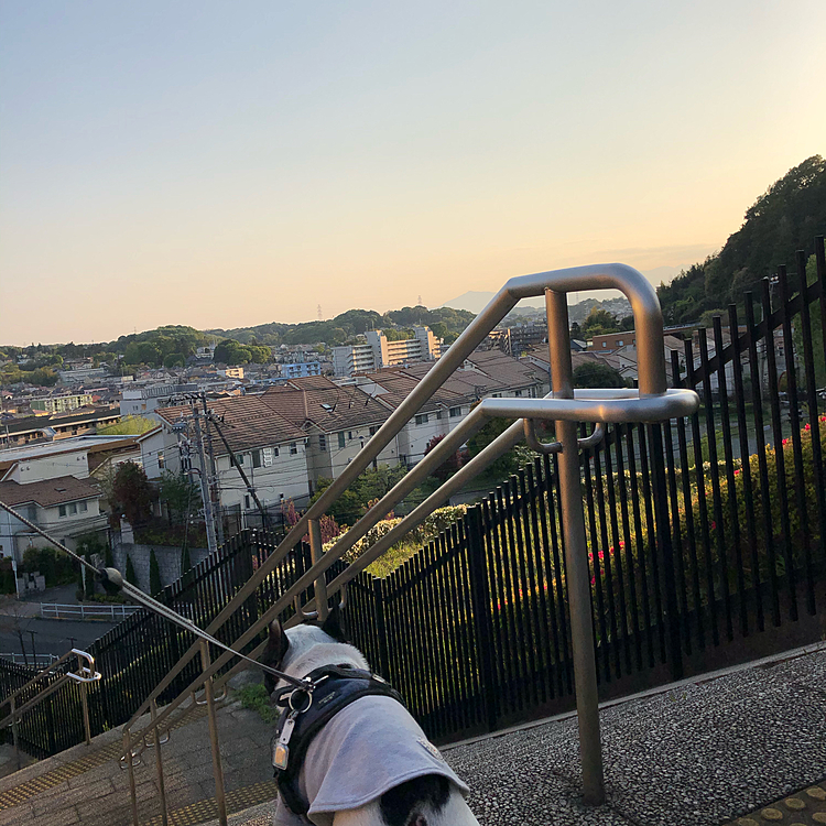 今日も街の平和を確認です😁