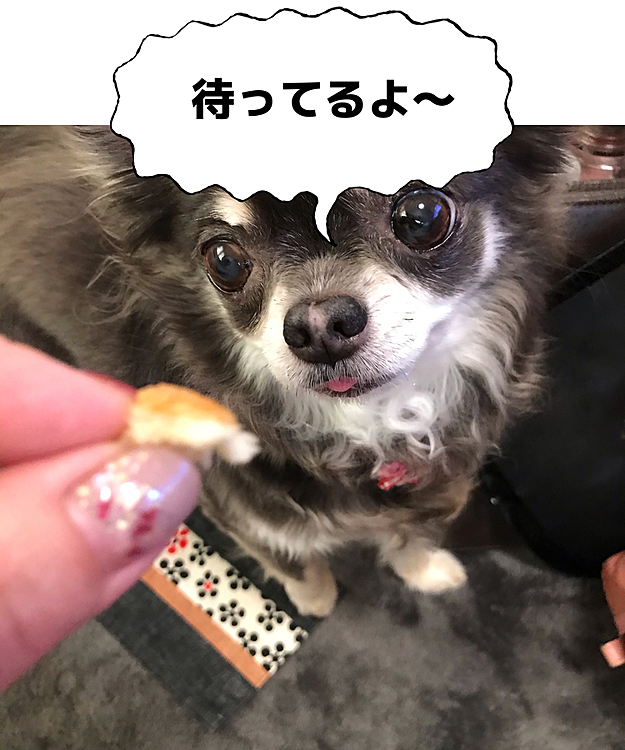 いつも👅出ちゃう🤣