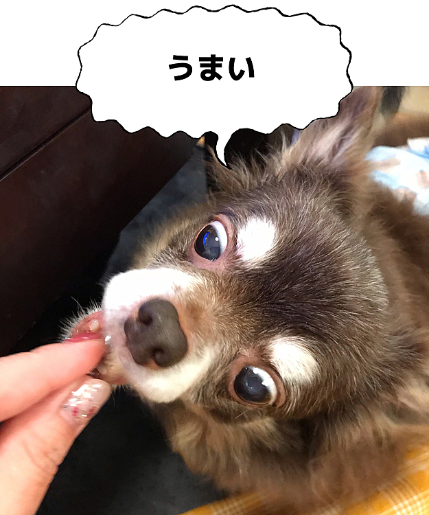 オチは流石のルイ😂
良い顔してくれます🤣🤣