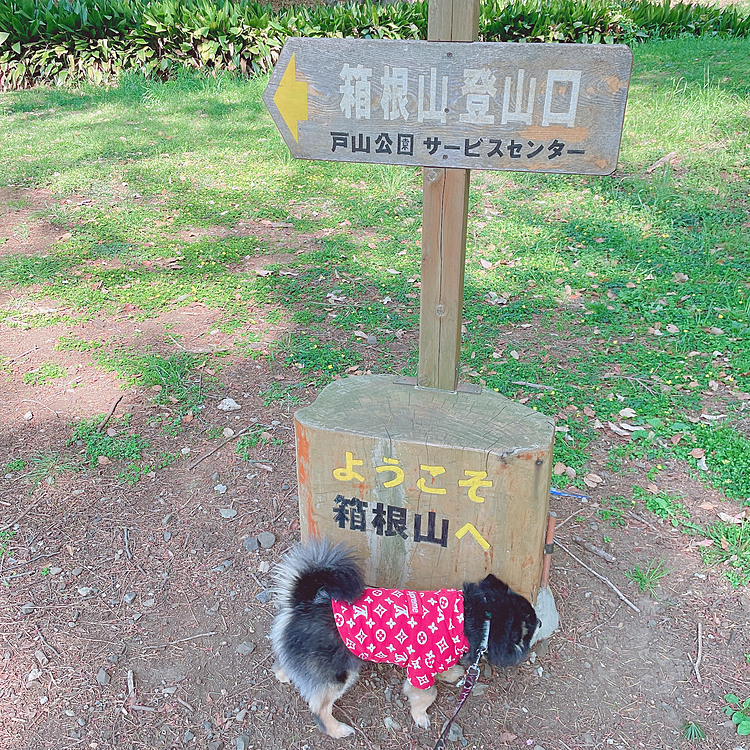 
最近ハマってる箱根山🗻

お客様とお話してたら
たまたま知っている方がいました😊
びっくりです😊



