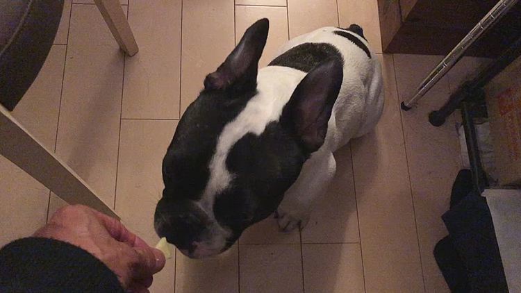 良い音させて食べてます😁