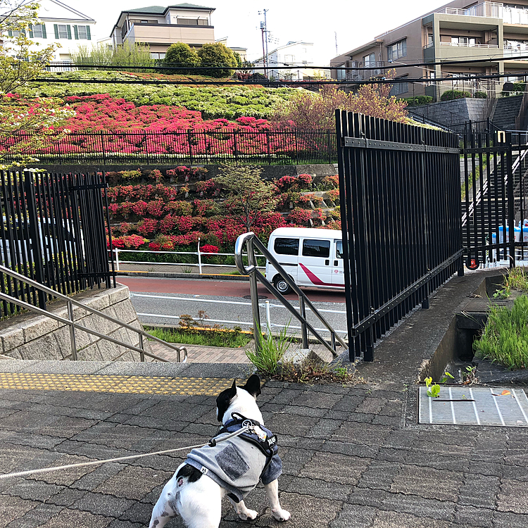 今朝は冷え込みましたが、日差しが暖かく感じました😃