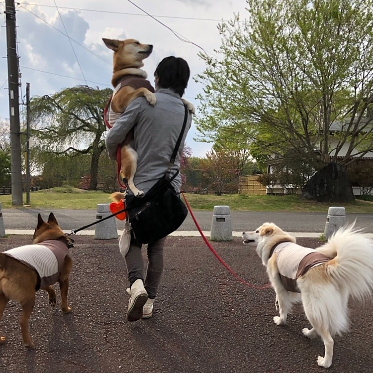 大きい赤ちゃんが1人🐶