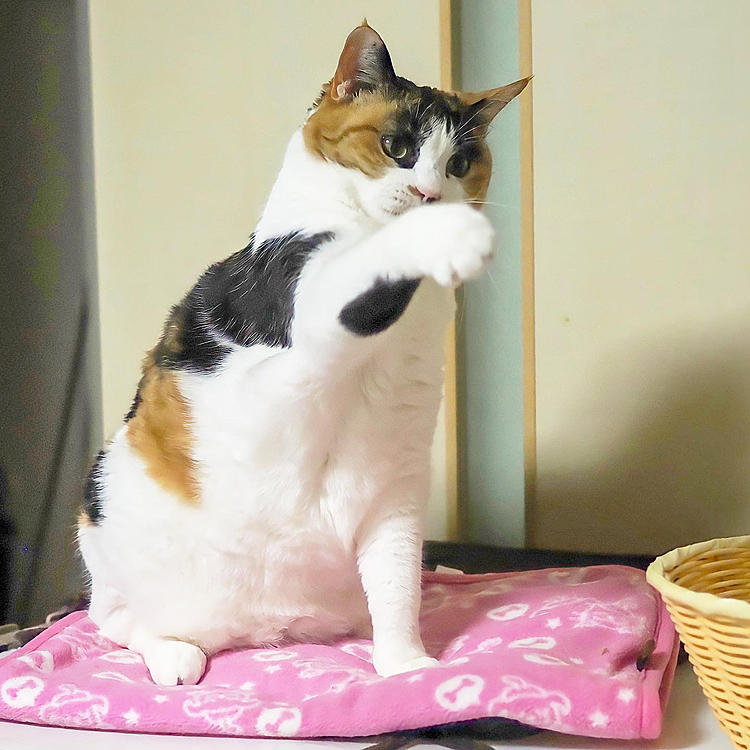 右パンチ炸裂