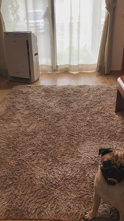 取りには行くけど、渡してくれません😅