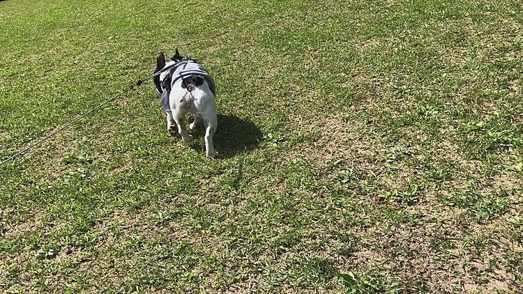 これは先日天気がいい時に行った大きな公園での様子です😀
