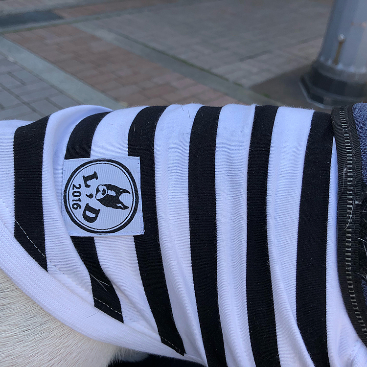 白黒のボーダーにフレブルマークのロゴ❣️