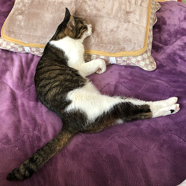 なんだ😳
この寝方は...🤔