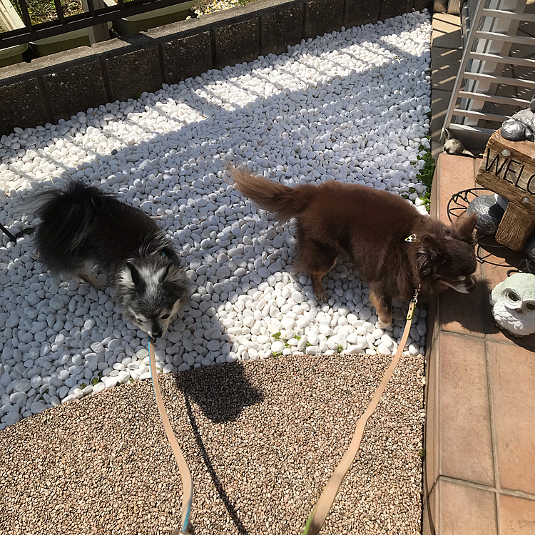 出た所で気持ちが変わった💦
