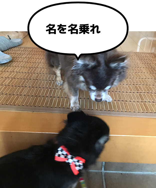 ひな〜💦
頑張れ〜😂
いちいち面倒くさい男です🤣🤣🤣