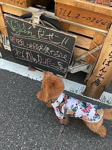 境内は🐶は入れないので母と交代しての買い物となりましたが、長芋×大和芋の交配種のネバリスターと言う品種😆
山芋大好きなので即買いしましたがめちゃくちゃ重くて帰りは大変でした😅
あとは近くにある100年以上続く老舗の料亭の出店ではカレーパン、だし巻き卵(半分こ)、参道のケーキ屋さんでアップルパイは母に買って貰いました💕
お寺の縁日なのでご年配が多くておじいちゃん、おばあちゃんにたくさん可愛がって貰いご機嫌のハッピーでした🐶