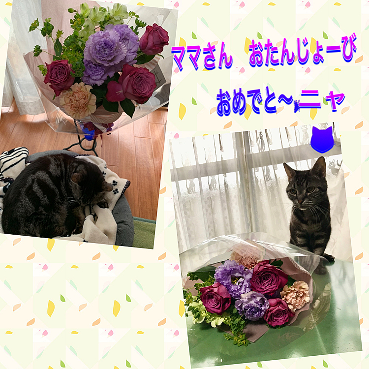 naonaotaigaの投稿