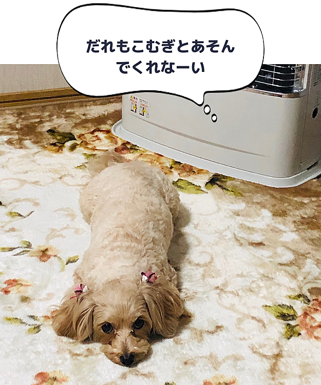 おばあちゃんいわく「よくストーブの前であーしてるよ」