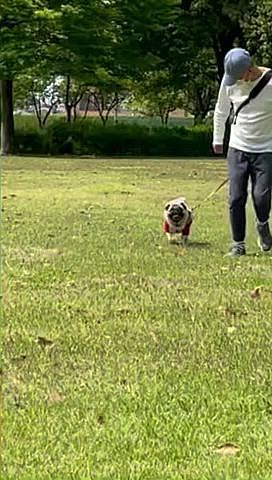 とうちゃん足元危険です😅