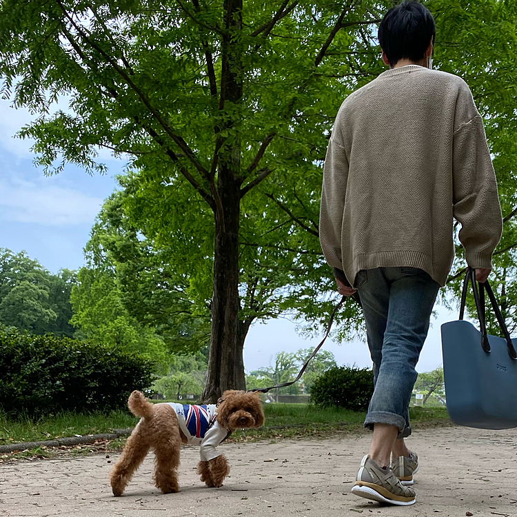 連休1日目🍀

夕方から雨予報のハッピー地方なので、朝のお散歩してから狂犬病の注射とフィラリア検査へ病院に行きました💉