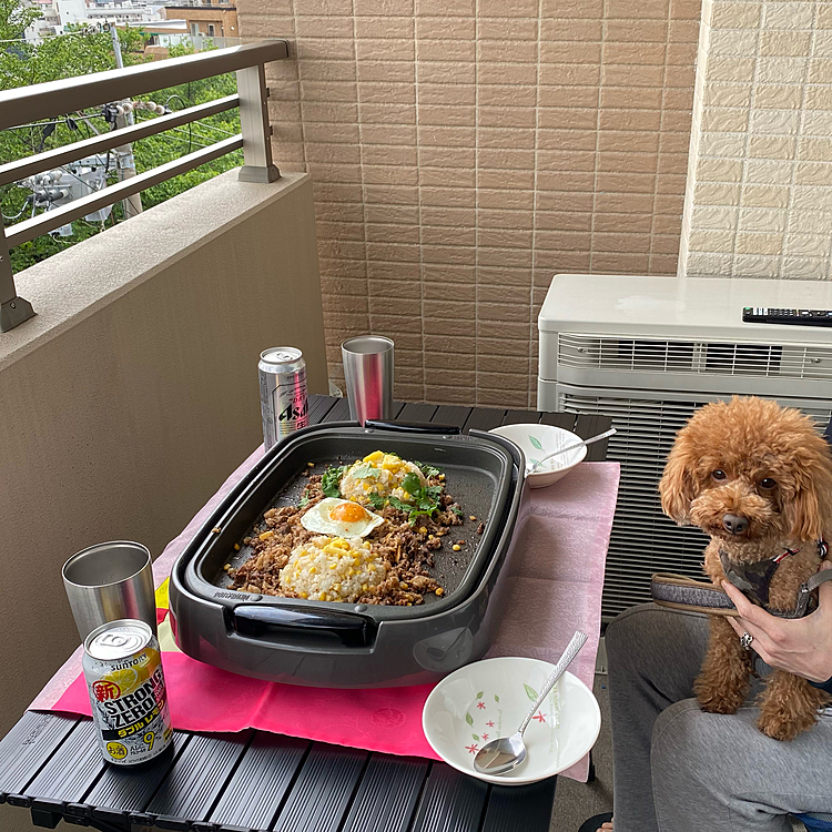 帰宅後お昼はベランダで食べたいとの希望だったので、今バズっているらしいペッパーランチ飯にトライ🍖

でも致命的なのはペッパーランチ行った事無いからよくわからない😅
でも美味しく出来ました♪
