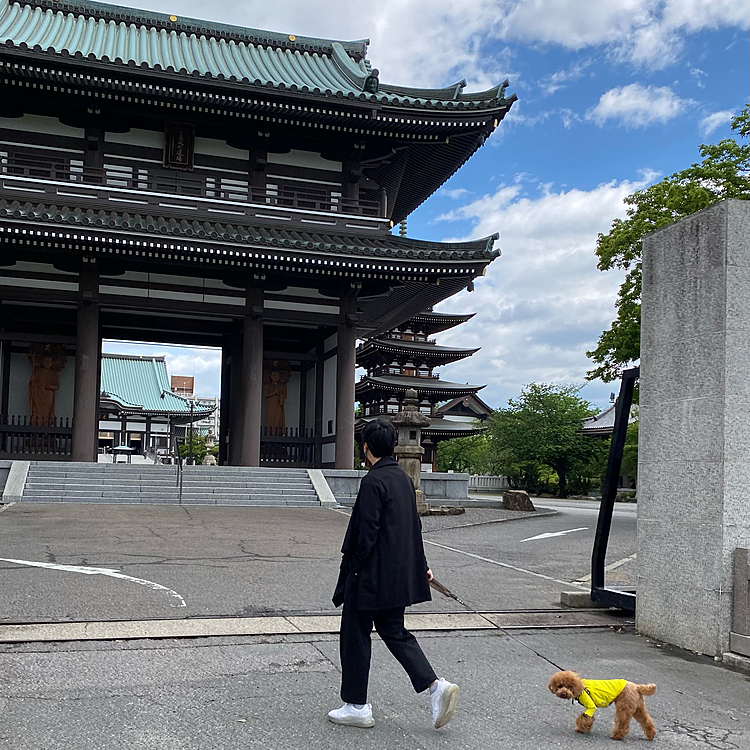 昼過ぎから雨予報なので午前中にお散歩🐾
雨雲が怪しいですが、降られる事もなく良かったです♪