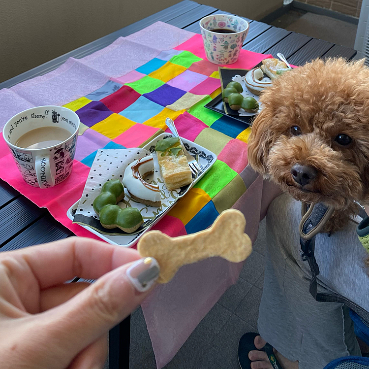 はいはい、ハッピーには凛ちゃんママさんから頂いたクッキーあげますね🍪
