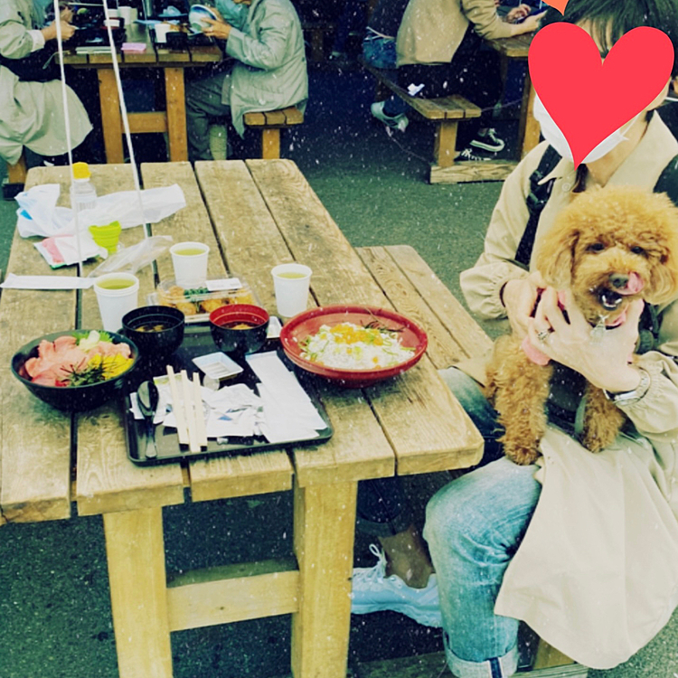 連休3日目🍀

昨日のお出掛けです♪
ようやく安定した晴天予報なので、色々候補がある中で美味しいものが食べたい❣️となりいつもの海鮮市場へ行きました🐟

お昼には混むと予想して早めのお昼ご飯にしました☺️
GW限定の生本マグロ丼といくらしらす丼にしました😋