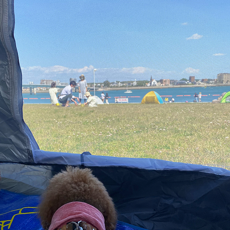 これまたいつも行く人工ビーチのある公園へ行きマッタリ過ごしました🐾