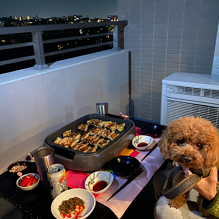 夜はベランダで餃子🥟〜😆