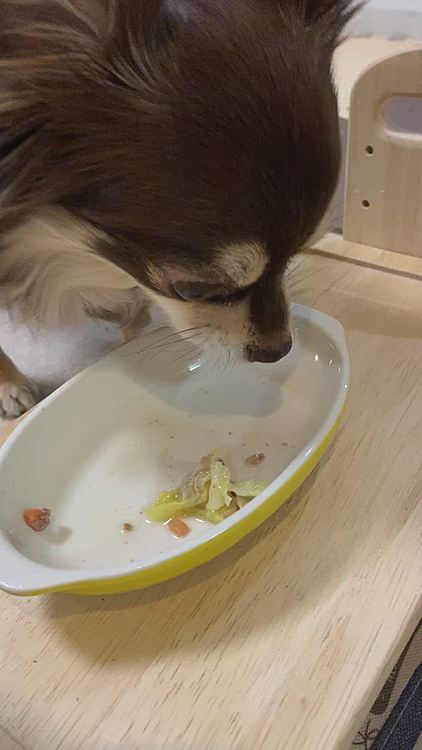 美味しそうに食べてあっとゆうまに完食でした💕嬉しい😃