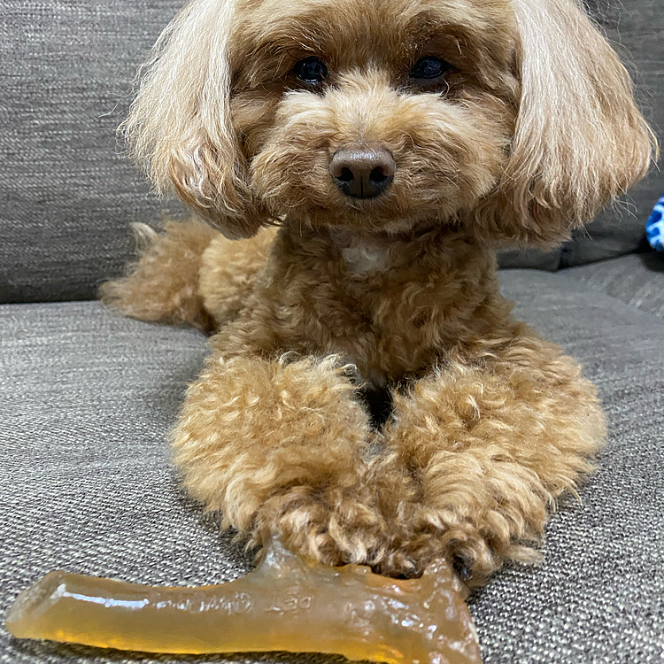 新しく買った味がするおもちゃ😁