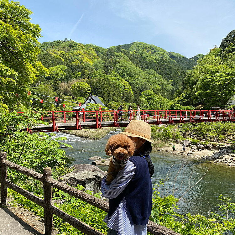 とにかく山深く青紅葉が綺麗で川のせせらぎを聞きながらのんびり過ごしました🏞
