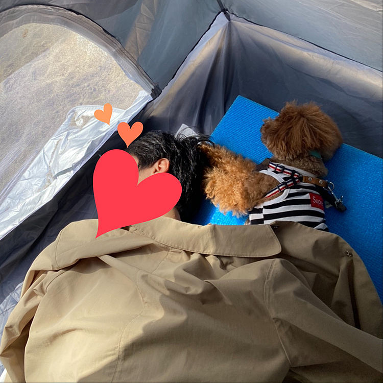 おにぎりランチの後はもちろんお昼寝タイム😪💤