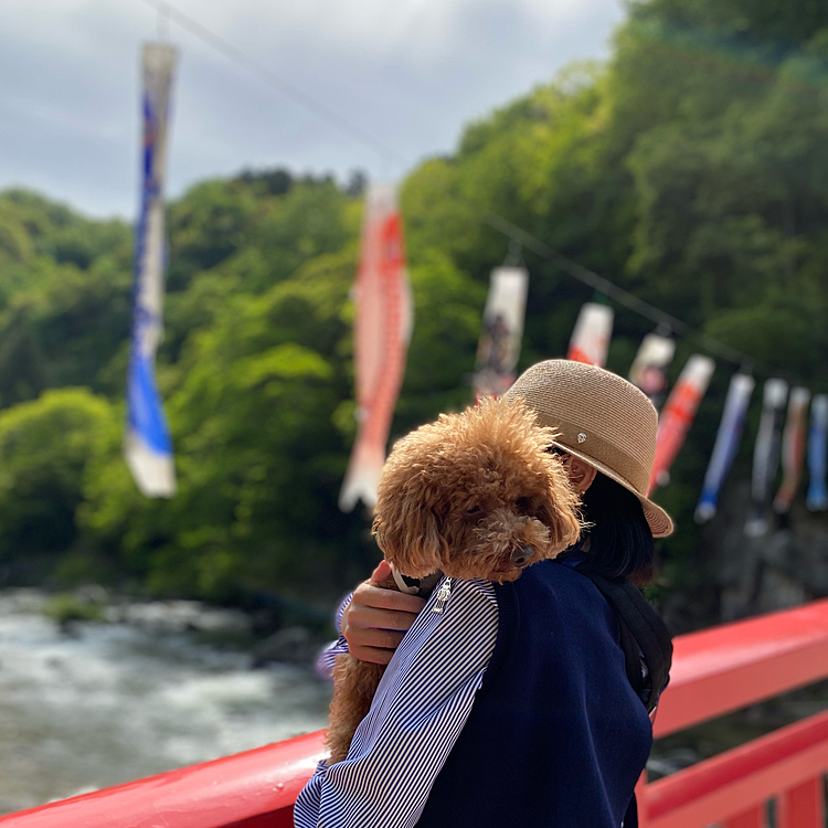 今日は端午の節句ですね☺️
可愛い我が子達皆の健やかな成長を祈願します🍀