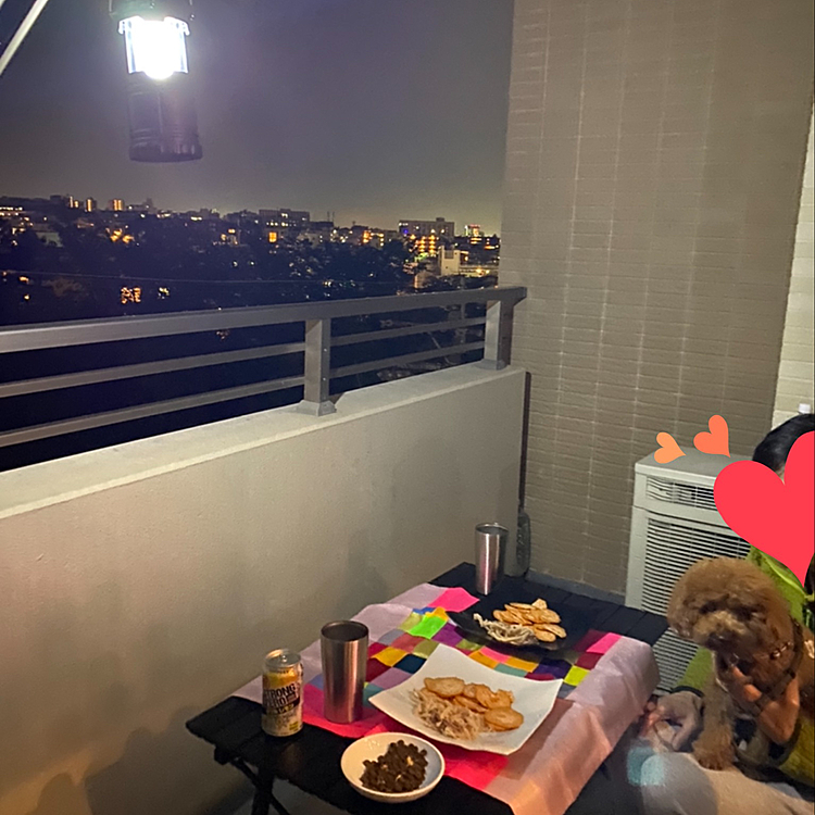夜ご飯は温野菜に先日買ったバーニャカウダーをディップしようとしたら、あんまりお腹空いていないとの事💧
ならばとこちらも先日買ったさきいかとせんべいをつまみに晩酌しました😆
いつもきちんと料理してる風ですか、結構こんな日もあります♪