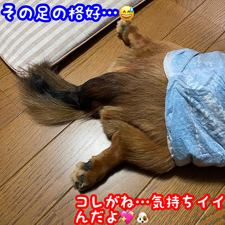 うーん(・_・;)痛くないのか!?(苦笑)