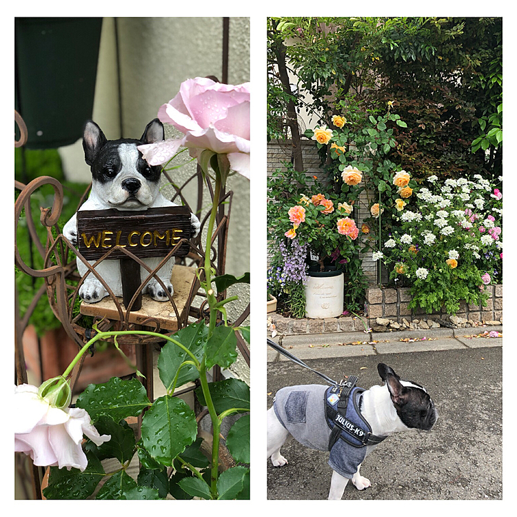 おまけ😆