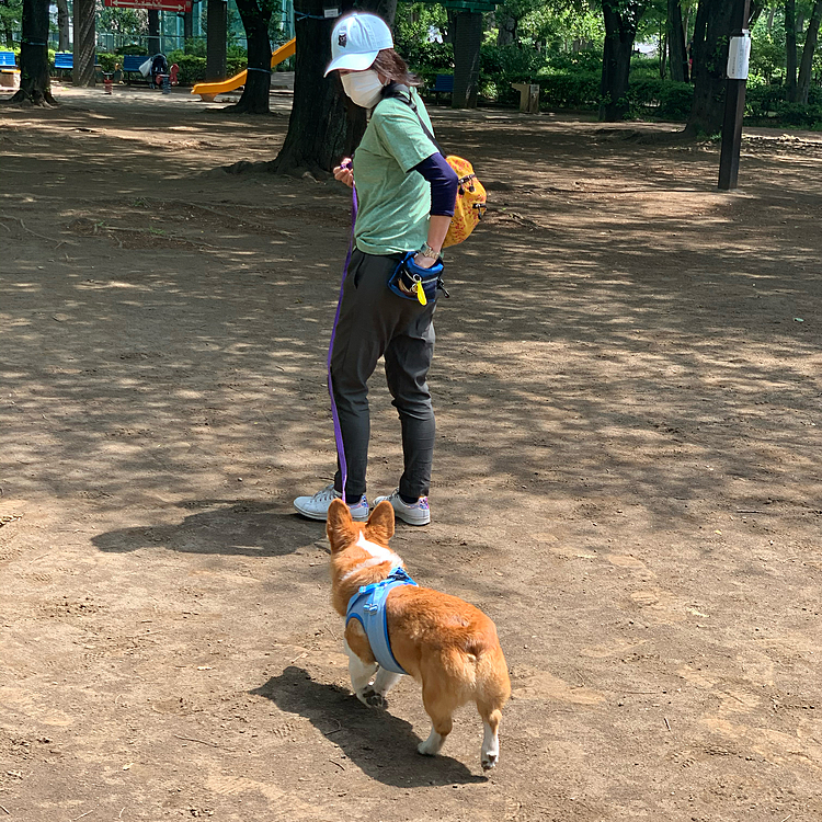 久しぶりに先生に会ったからかわかりませんが、今日は先生スキスキ攻撃がすごくて、私たちの言うことは全然聞きません😭
先生の言うことだけよく聞くっていう…😅
