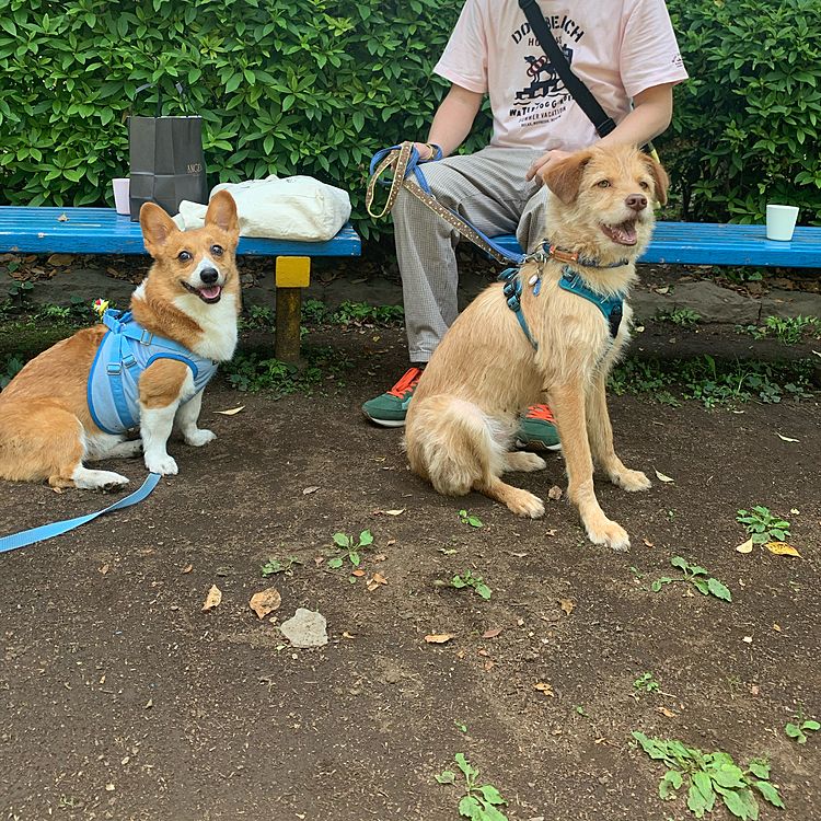 途中でレンコンくんとパパさんも来てくれて楽しかったね💕
レンコンくんいつもありがとう😊