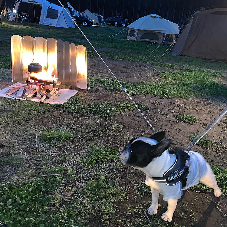 夜は焚き火を楽しみます😁