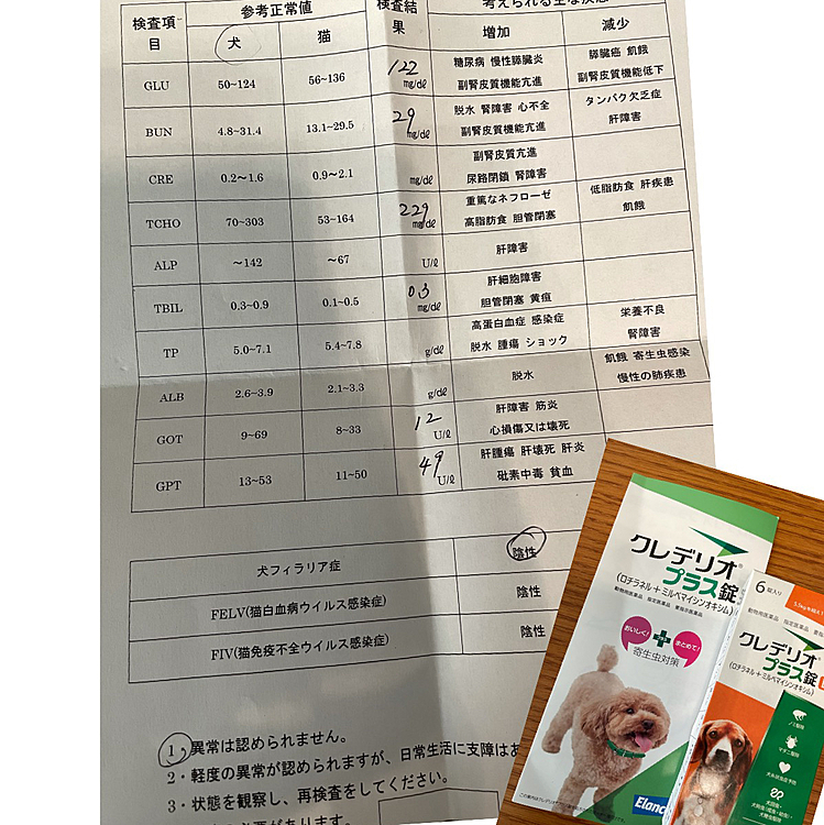 血液検査の結果は異常なしでした😆
フィラリアの薬はクレデリオプラス錠にしました💊
ネクスガードは嫌がって食べないので、選択肢が増えて助かります😄