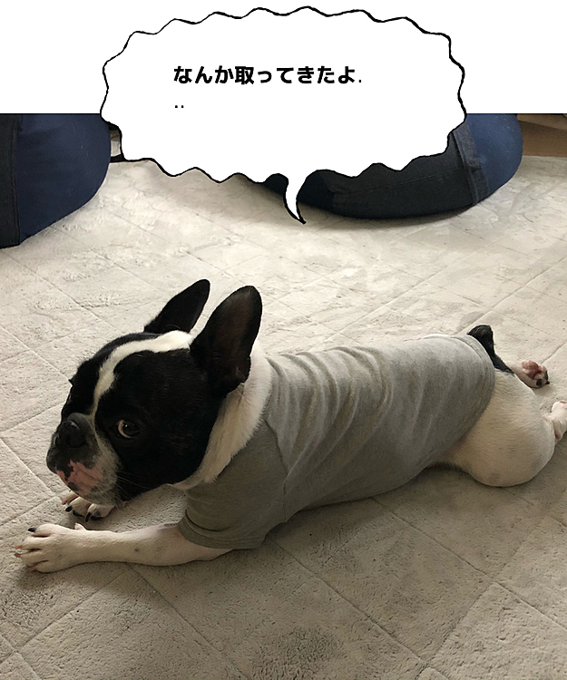 取った腫1cm弱でした。
縫合したので1週間後くらいに抜歯です😶