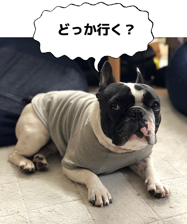 人が動き出すと直ぐに反応してマンマークを外しません😅