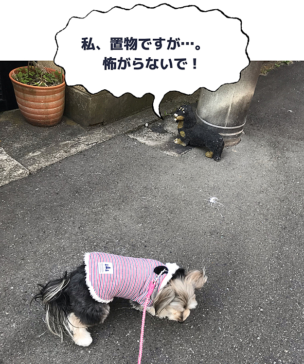 今日はお天気もよく、お散歩に行くと、お散歩コースに黒い犬が。
デイジーは怖がって、かたまり、逃げ始めました。が、相手は置物。