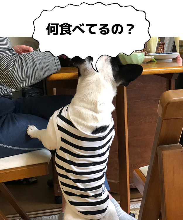 ばあばが食べてるもののチェックに余念がありません🤣