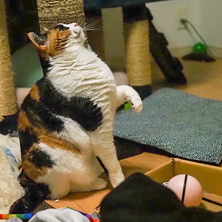 狙いを定めて